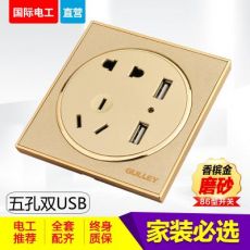 86型家裝圓形磨砂金五孔雙US手機(jī)充電帶2個(gè)USB