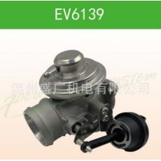 廢氣閥/廢氣循環閥/egr閥EGR VALVE/EV6139/038131501G